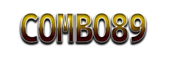 Logo COMBO89